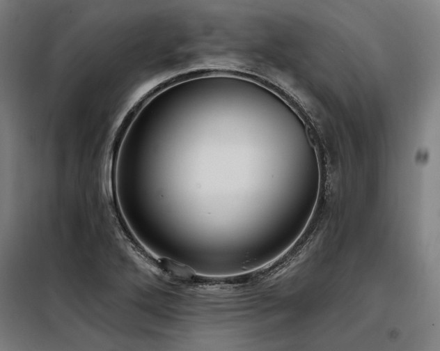 X0000098171272200804241147