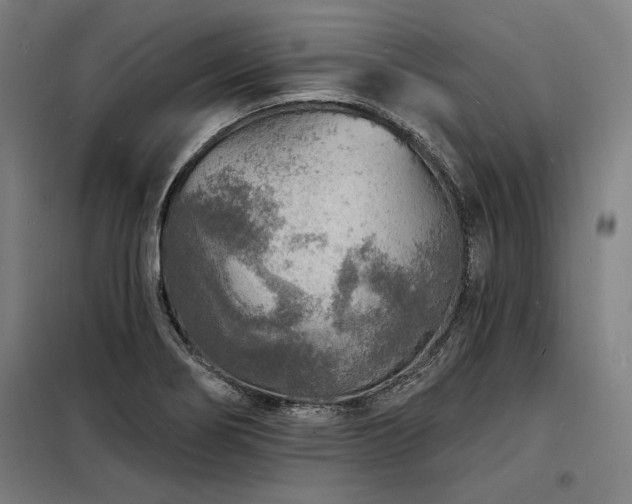 X0000098171274200804241147