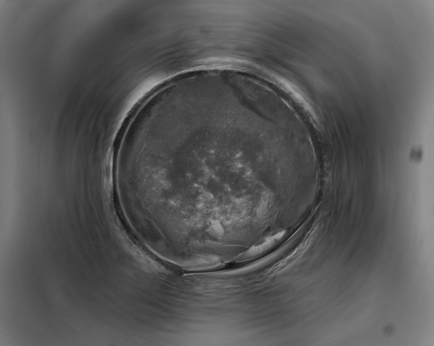 X0000098171275200804241147
