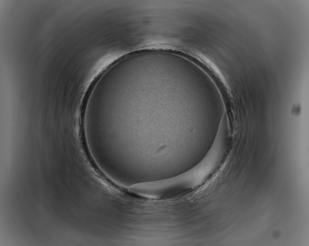 X0000098171277200804241147