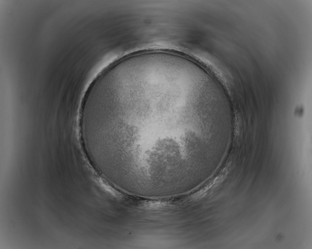 X0000098171278200804241147
