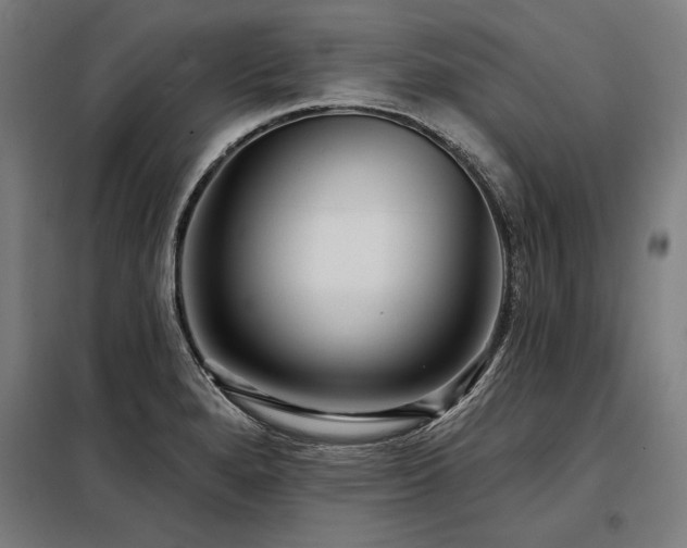 X0000098171280200804241147