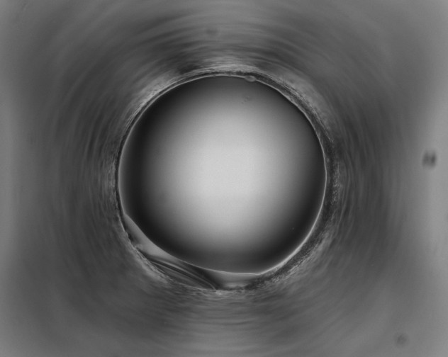 X0000098171281200804241147