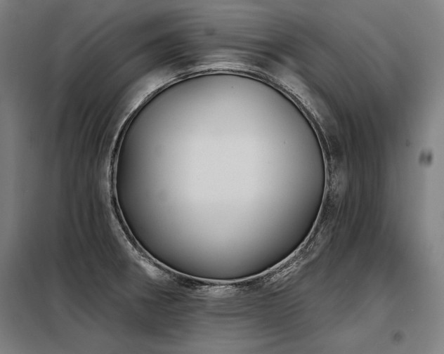 X0000098171282200804241147