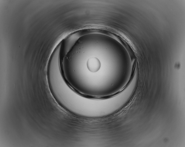 X0000098171283200804241147