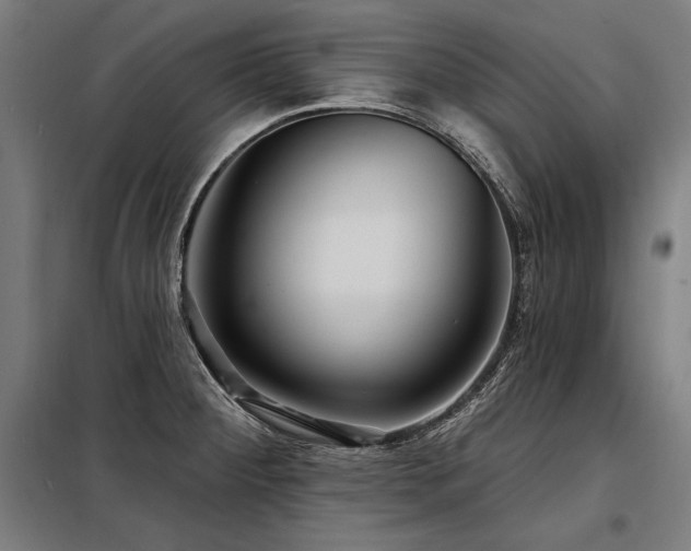 X0000098171284200804241147