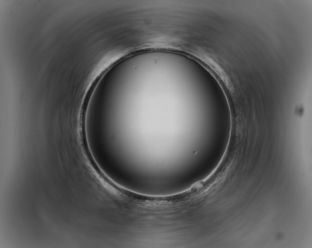 X0000098171285200804241147