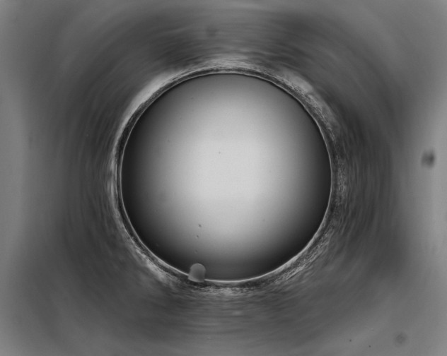 X0000098171286200804241147