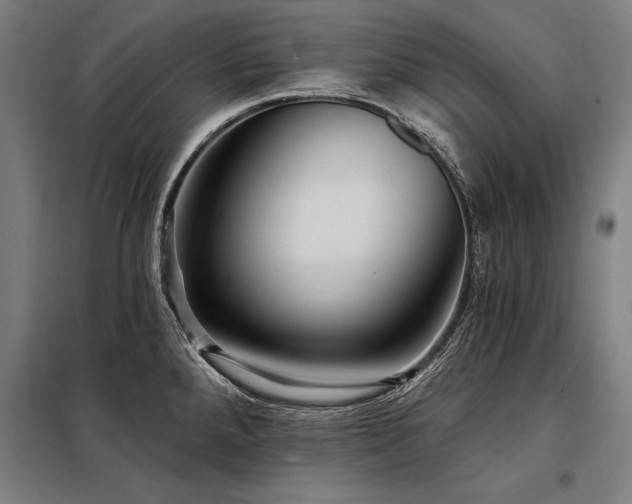 X0000098171288200804241147