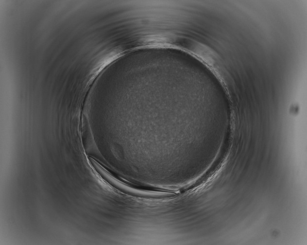 X0000098171289200804241147