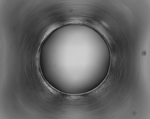 X0000098171290200804241147