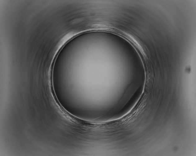 X0000098171291200804241147