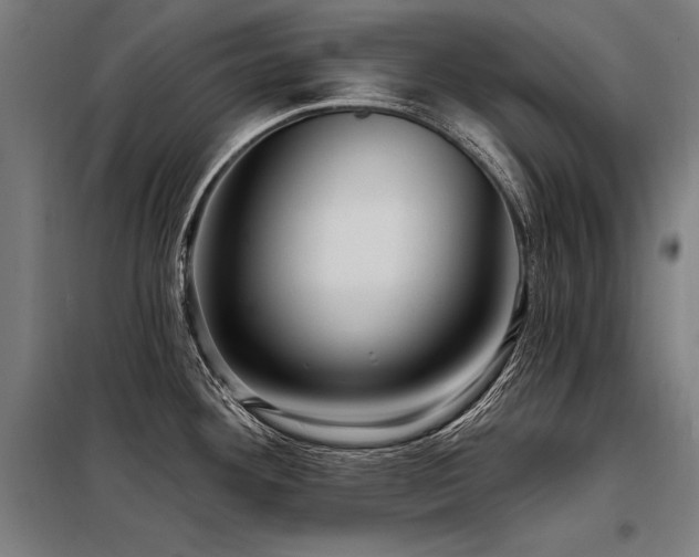 X0000098171292200804241147