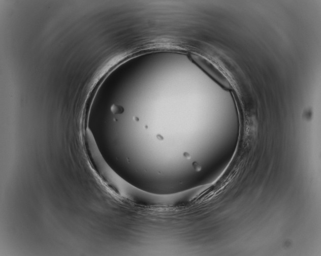 X0000098171293200804241147
