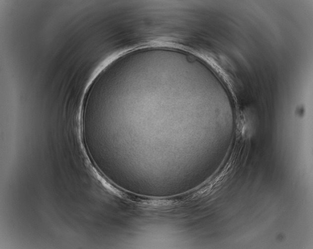 X0000098171294200804241147
