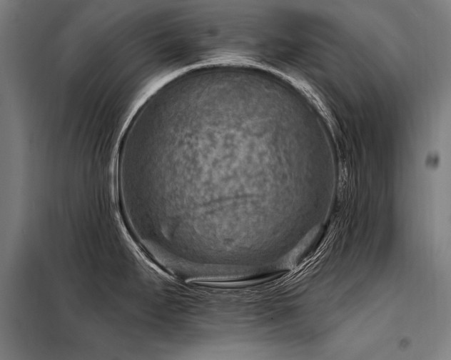 X0000098171295200804241147