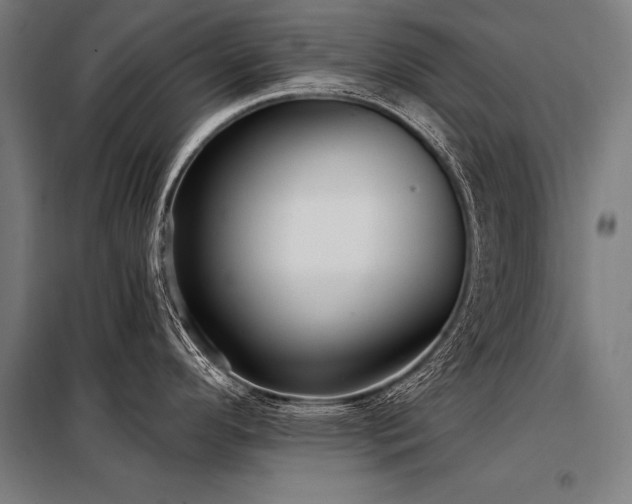 X0000098171296200804241147