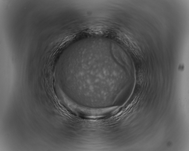 X0000098171297200804241146