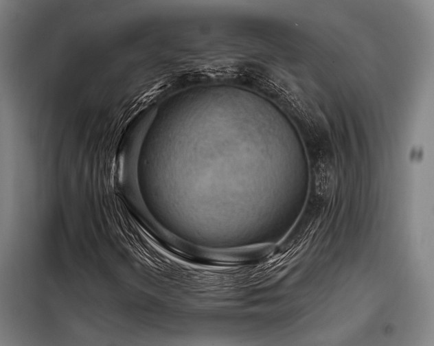 X0000098171298200804241146
