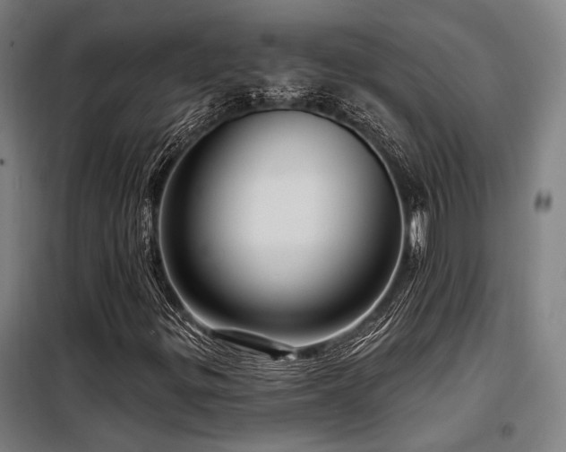 X0000098171299200804241146