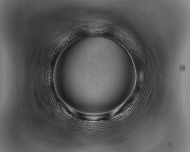 X0000098171300200804241146