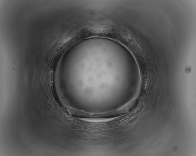X0000098171301200804241146