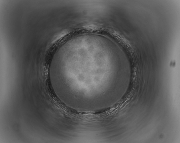 X0000098171302200804241146