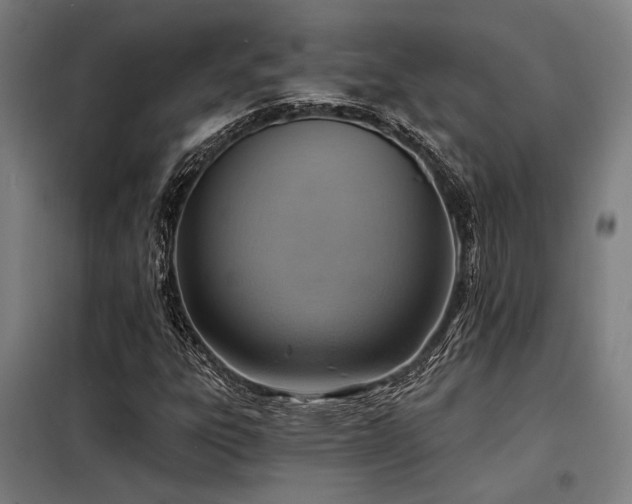 X0000098171303200804241146