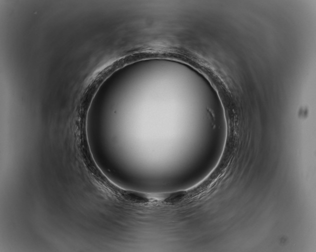 X0000098171304200804241146