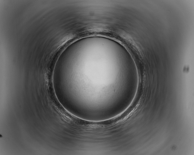 X0000098171305200804241146