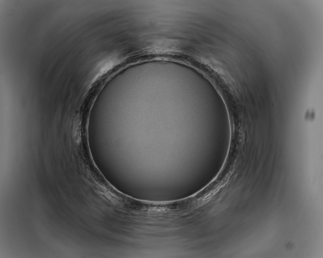 X0000098171306200804241146