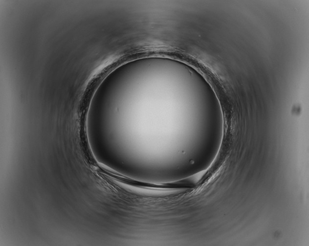X0000098171309200804241146