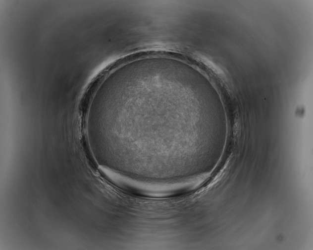 X0000098171310200804241146