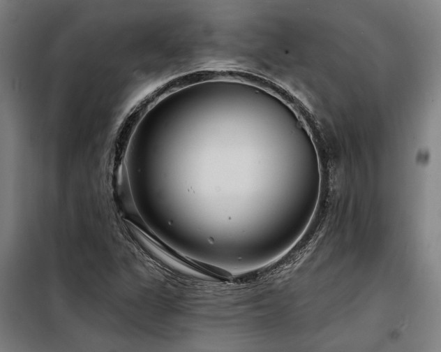 X0000098171311200804241146