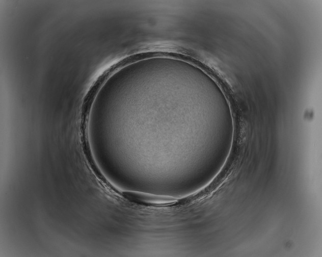 X0000098171312200804241146