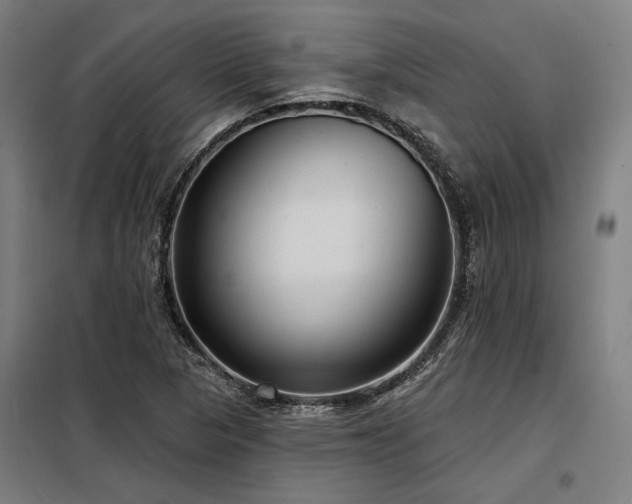 X0000098171313200804241146