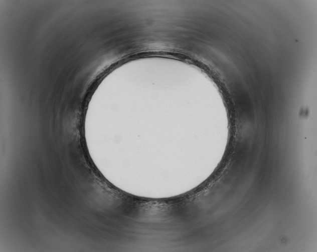 X0000098171314200804241146