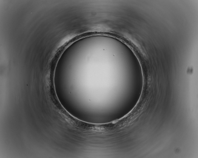 X0000098171315200804241146