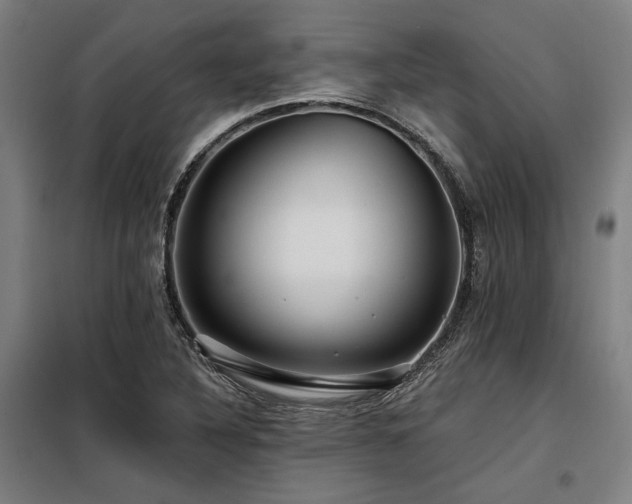 X0000098171316200804241146
