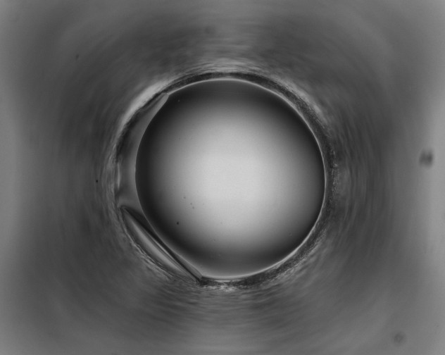 X0000098171317200804241146