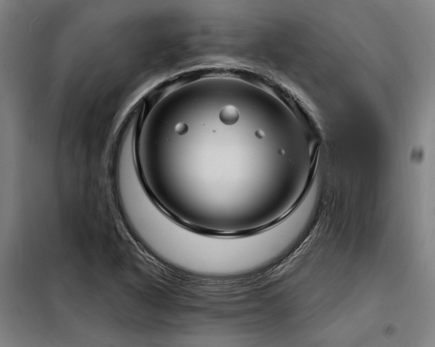 X0000098171318200804241146