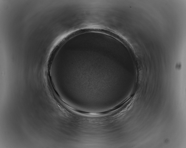 X0000098171319200804241146