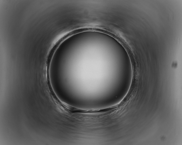 X0000098171320200804241147
