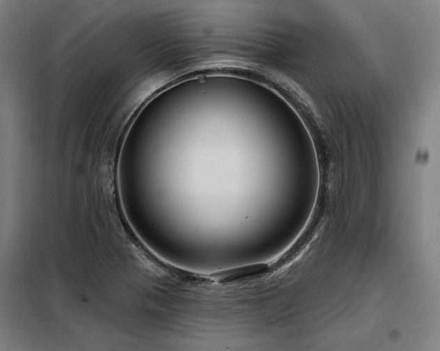 X0000098171321200804241147