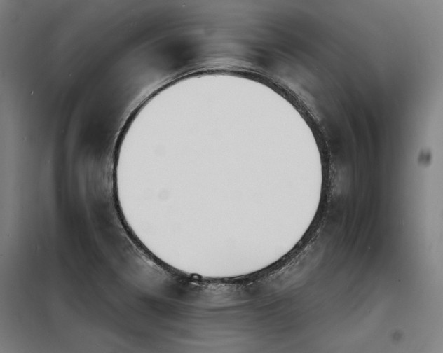 X0000098171322200804241147