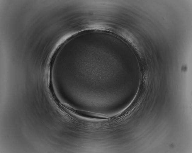 X0000098171323200804241147