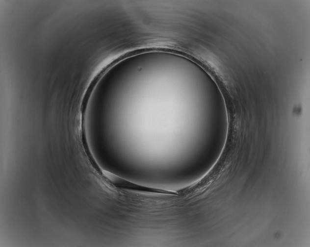 X0000098171324200804241147