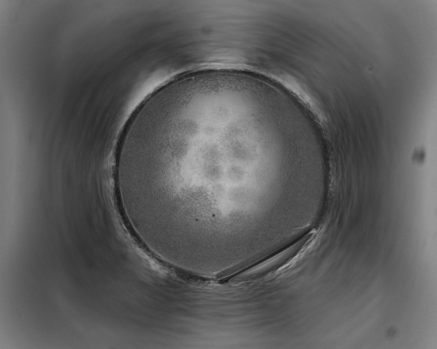 X0000098171325200804241147