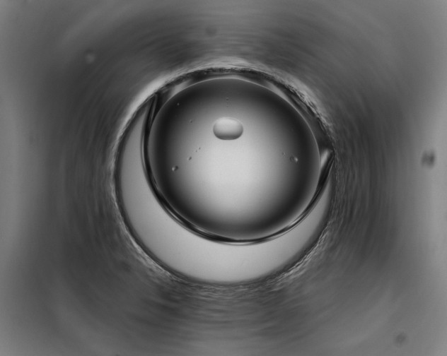 X0000098171326200804241147