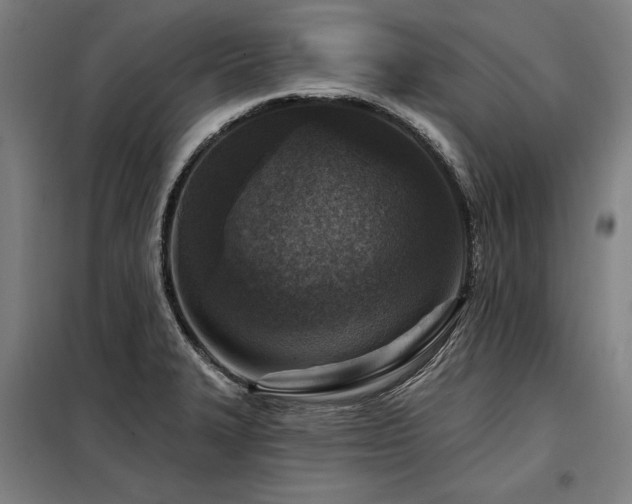 X0000098171327200804241147